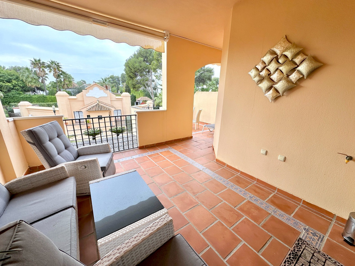 8fbce1b26bf0a696a5f06cb4e487f14d - 24