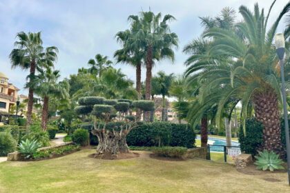 8fbce1b26bf0a696a5f06cb4e487f14d - 29