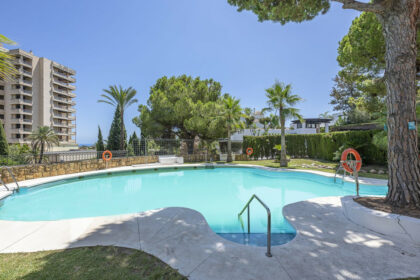 96330111fc688d9171493bbf3efbc707 - 33