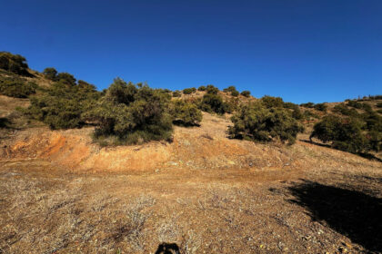 96966a0519be4ba03548c4354e1735d5 - 9