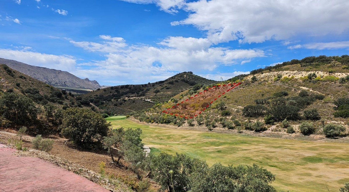 96f16b3c625d13167806ffee508e94f6 - 15