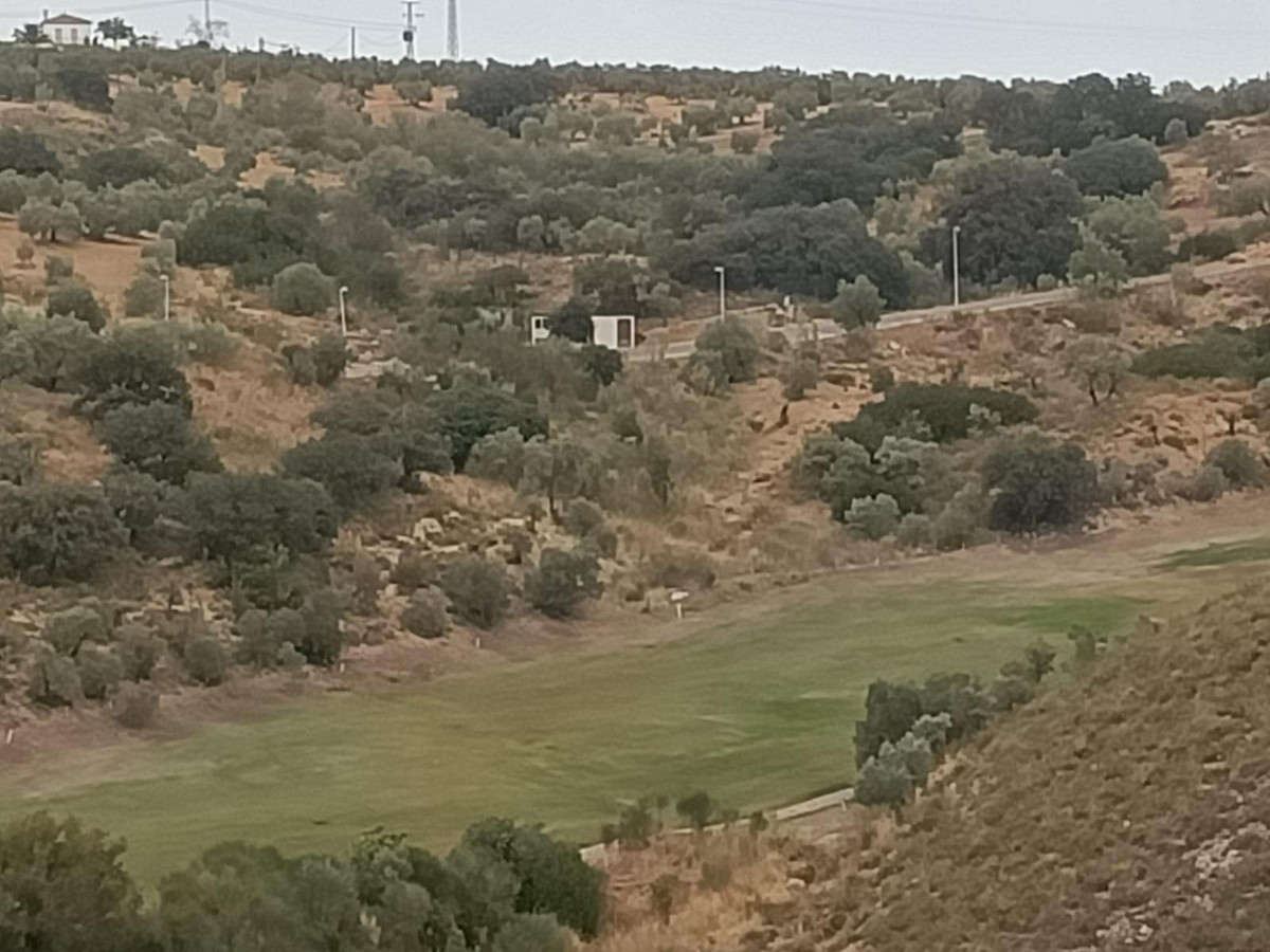 96f16b3c625d13167806ffee508e94f6 - 17