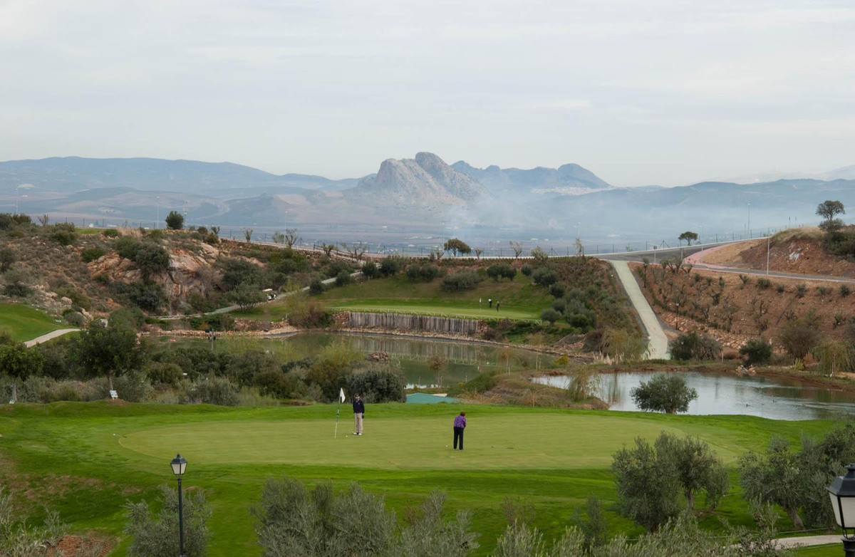 96f16b3c625d13167806ffee508e94f6 - 24