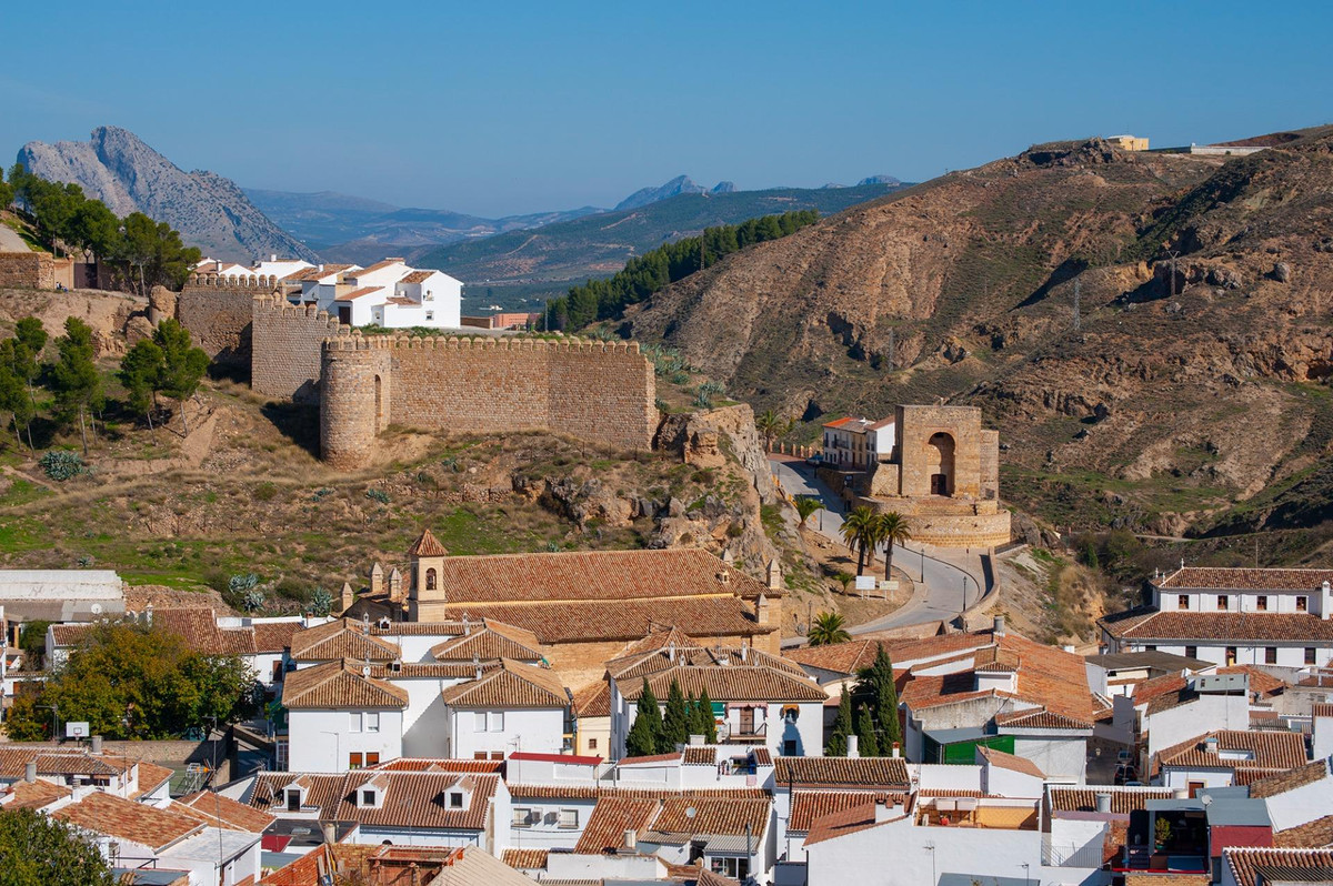 96f16b3c625d13167806ffee508e94f6 - 26