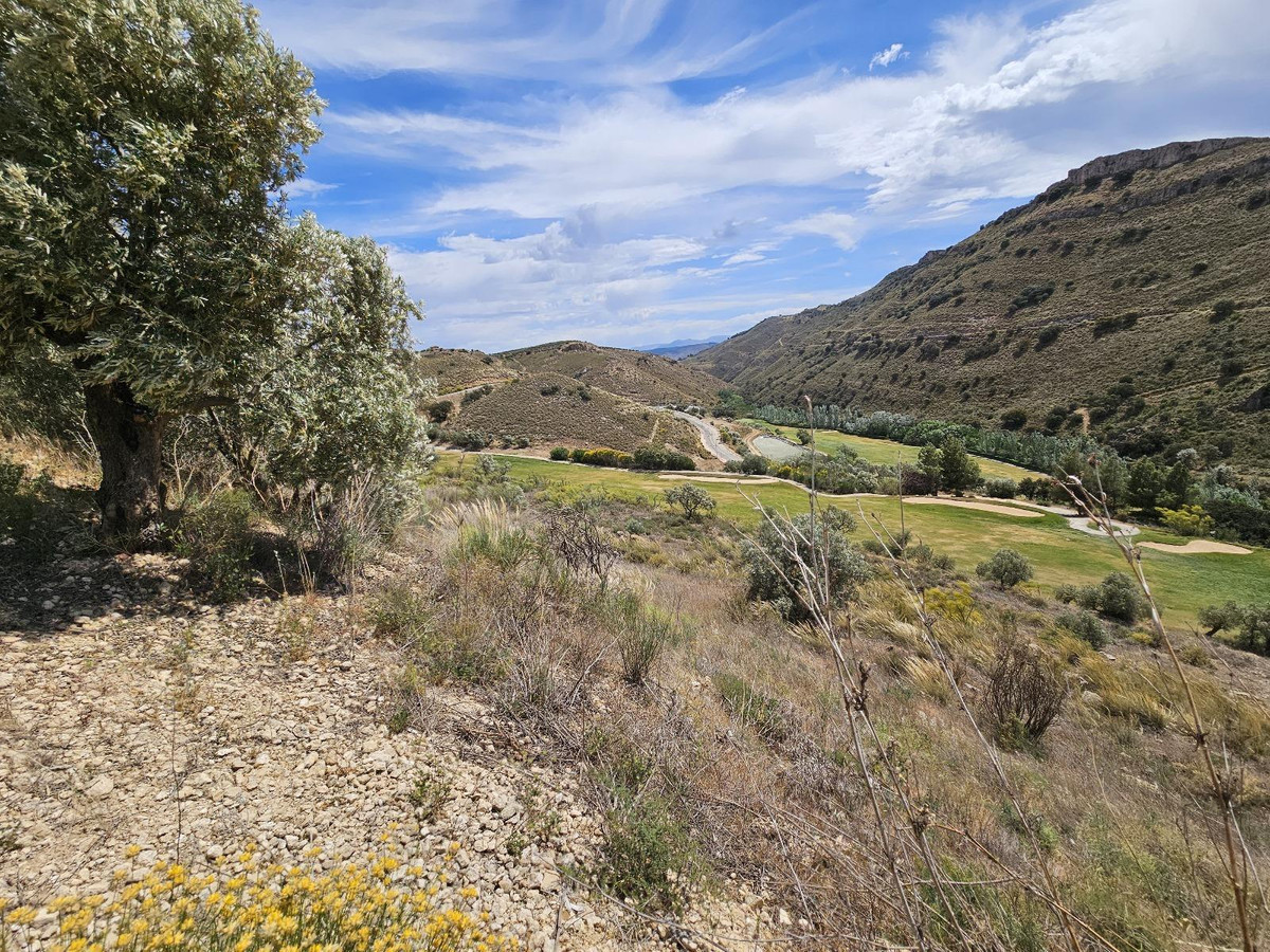 96f16b3c625d13167806ffee508e94f6 - 8