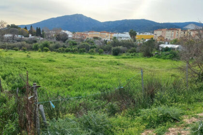 a08ed5ae3cf4761afdba6ee67a86f9df - 1