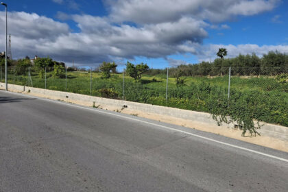 a08ed5ae3cf4761afdba6ee67a86f9df - 12