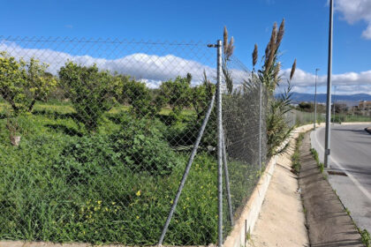 a08ed5ae3cf4761afdba6ee67a86f9df - 13