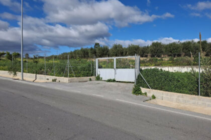 a08ed5ae3cf4761afdba6ee67a86f9df - 5