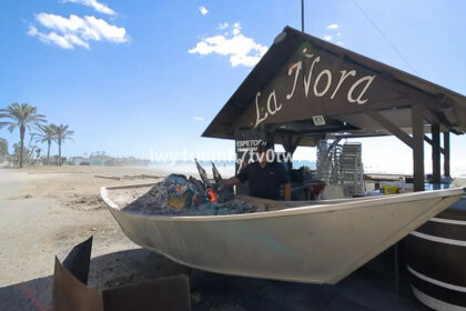 a709e383919795548db52242eb54f5db - 5