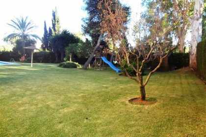 a9321b12f7b12a57652b82ac155f4bc3 - 22