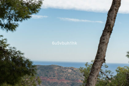 a9867bc68329e15735aafef38d3fc9da - 45