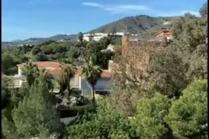 ab3da2625b11fa3207cc2adec76c0098 - 2