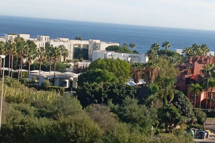 ad1752840164f42c404ab6d139992d61 - 10