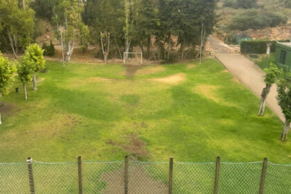 ad1752840164f42c404ab6d139992d61 - 15