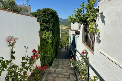 b3f680faf4d0c5cdcf683023f02fb8ea - 35