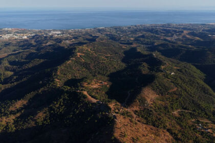 bab2e870d74f200e19281226859d21ef - 1