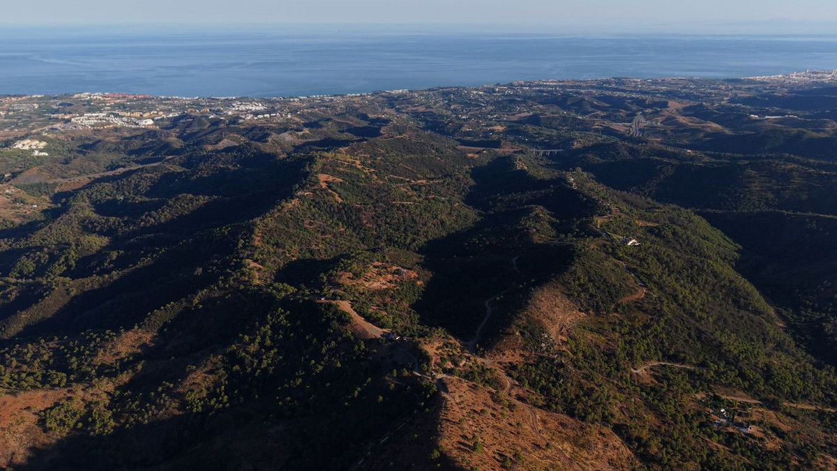 bab2e870d74f200e19281226859d21ef - 1