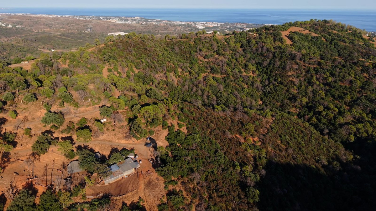 bab2e870d74f200e19281226859d21ef - 10