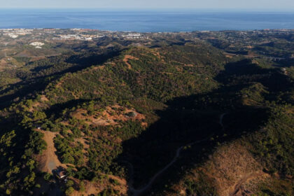 bab2e870d74f200e19281226859d21ef - 3