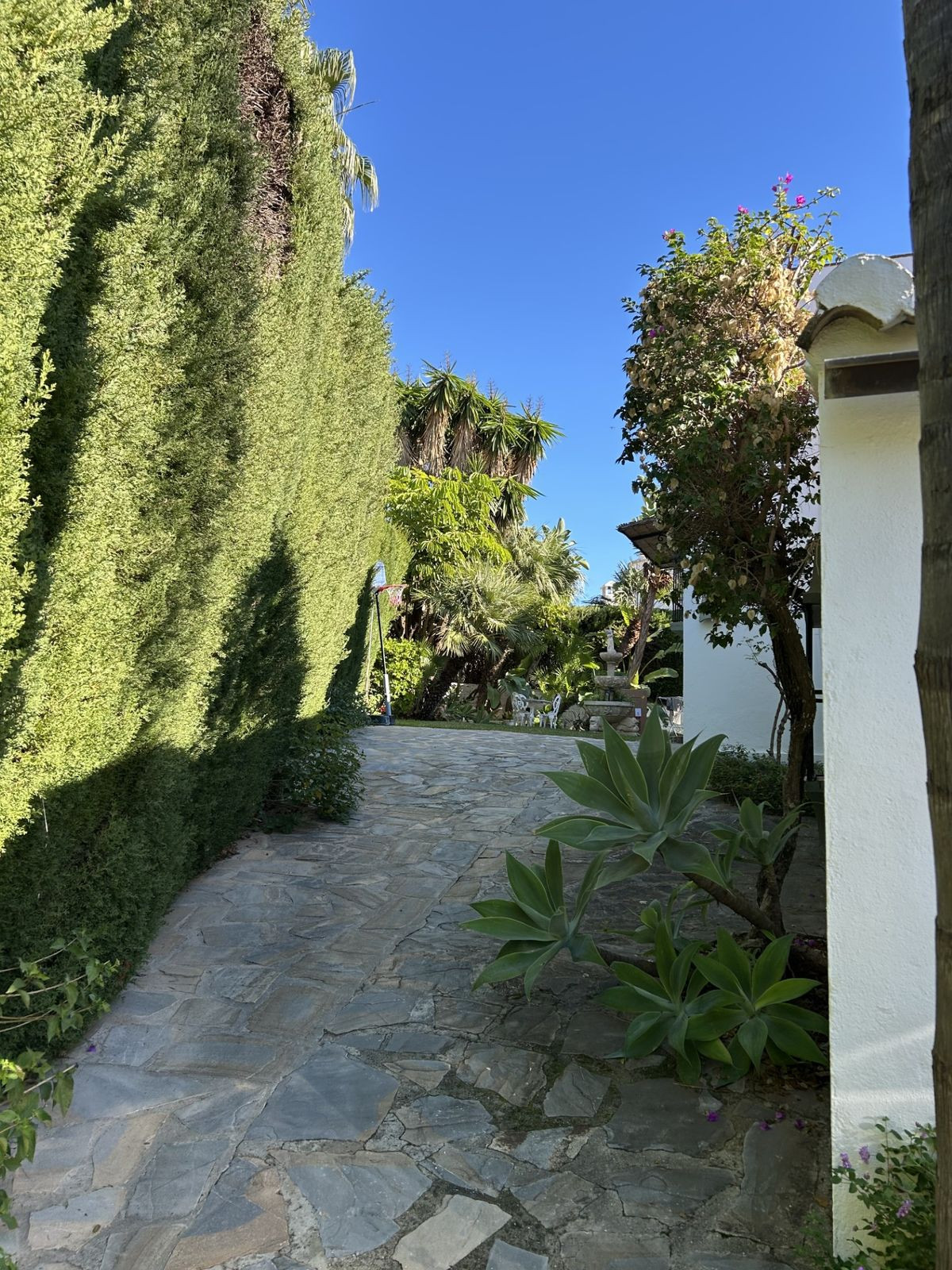 c1cfd7af6a57781af7b3f725b6301234 - 18