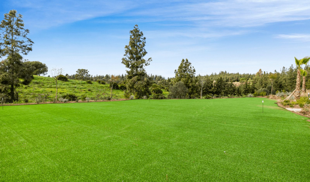 c45ac118627f450efaa2f42e7b9ff401 - 21