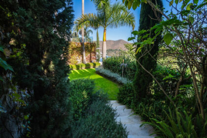 c61166b030697e3f46432c203aa2167e - 62