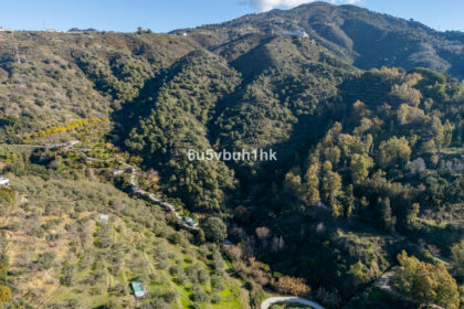 c6e4cc34a829f98b87be5bb14d36d0d5 - 10