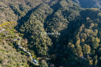 c6e4cc34a829f98b87be5bb14d36d0d5 - 11