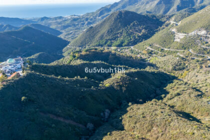 c6e4cc34a829f98b87be5bb14d36d0d5 - 18