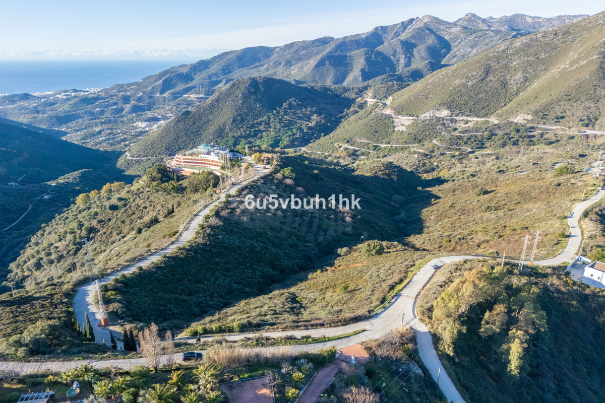 c6e4cc34a829f98b87be5bb14d36d0d5 - 2