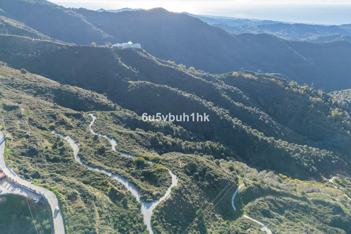 c6e4cc34a829f98b87be5bb14d36d0d5 - 24