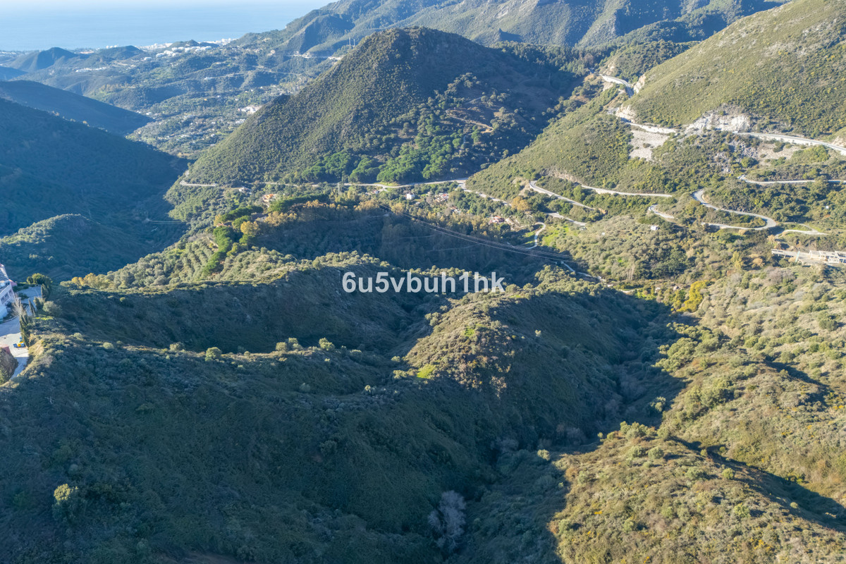 c6e4cc34a829f98b87be5bb14d36d0d5 - 28