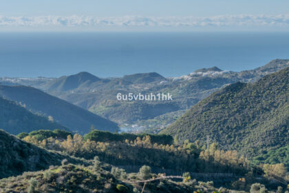 c6e4cc34a829f98b87be5bb14d36d0d5 - 3