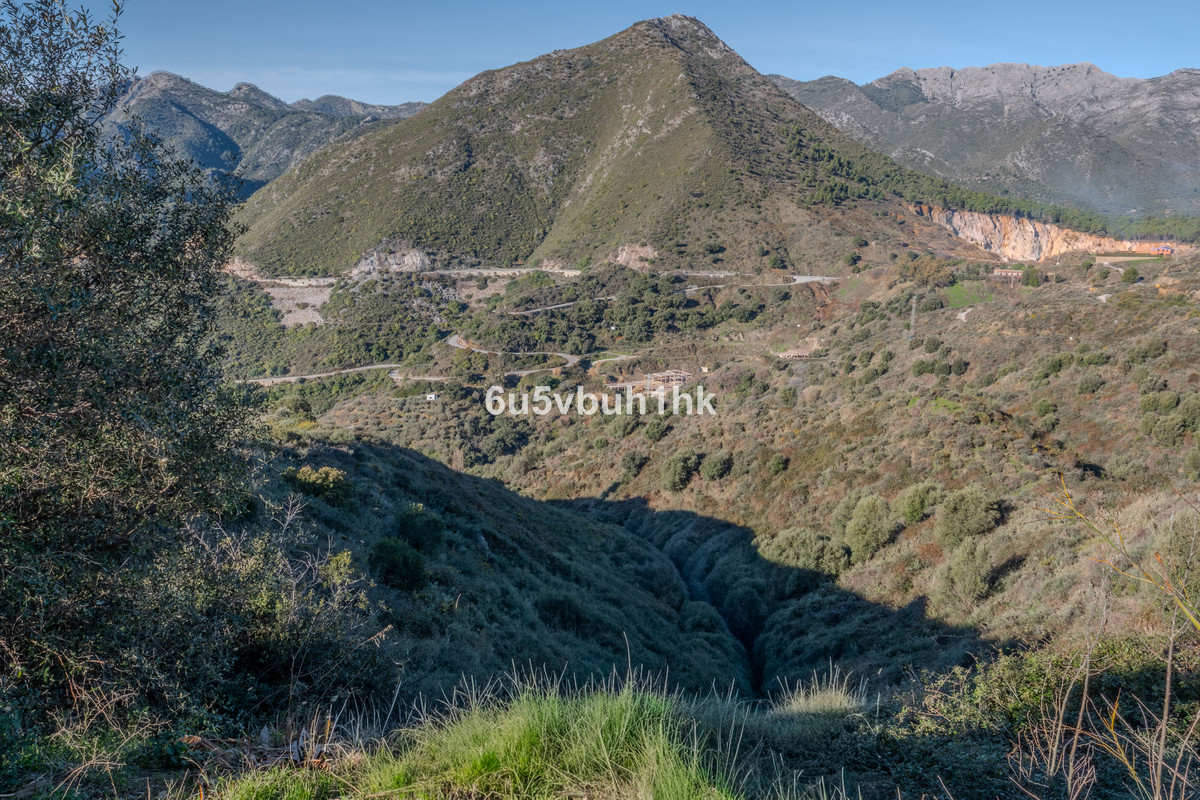 c6e4cc34a829f98b87be5bb14d36d0d5 - 8