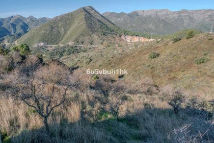 c6e4cc34a829f98b87be5bb14d36d0d5 - 9