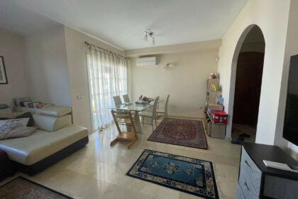 c91da0fc4bfb3f0c1d8037fc4ad4091d - 46