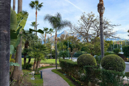 cdc8af40fee969e1b3256f9f83d3a5d8 - 13