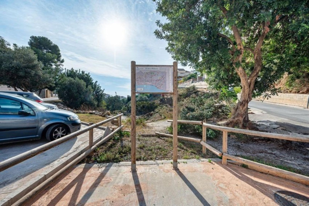 ce2ad411c291ea5250905818baf3cfeb - 1