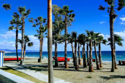 ceb7bc3f1ee42dcbd8d3e221fc84e8e5 - 1