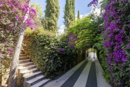 cf239a6a9be9fc5abb6f5803eaa1e914 - 27