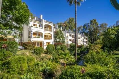 d420b9f360a99d23159623a1b0f6846c - 20