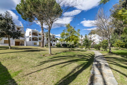 d420b9f360a99d23159623a1b0f6846c - 21