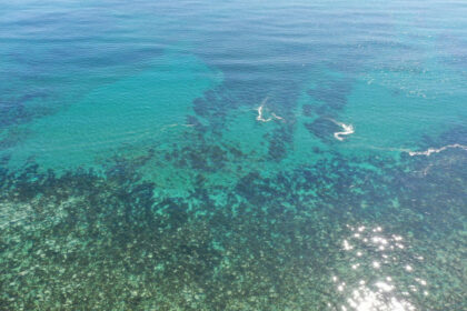 d463fc74f24329a32fdcccba4523b6aa - 7