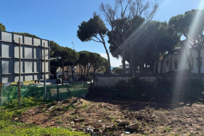 d4d7fa547a82cc98707d5f06825877c5 - 1