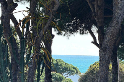 d4d7fa547a82cc98707d5f06825877c5 - 3