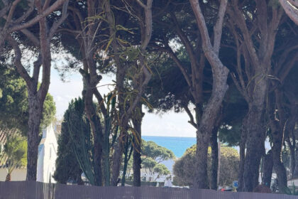 d4d7fa547a82cc98707d5f06825877c5 - 5