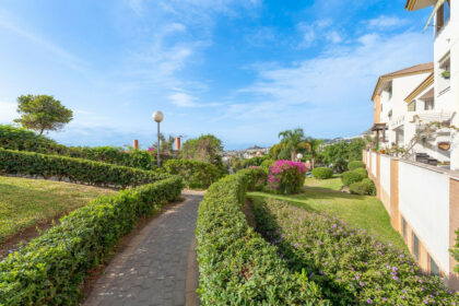 d59b2e76c6a4aded121ecc06a650c2ac - 29