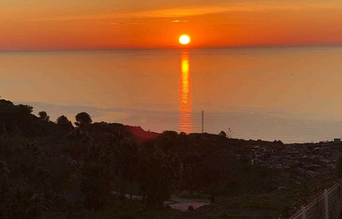 d79d0ba83bd399cc3a354a79eeadc539 - 21