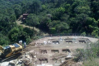 dae04da8c475e2383bb0622af273dcf0 - 9